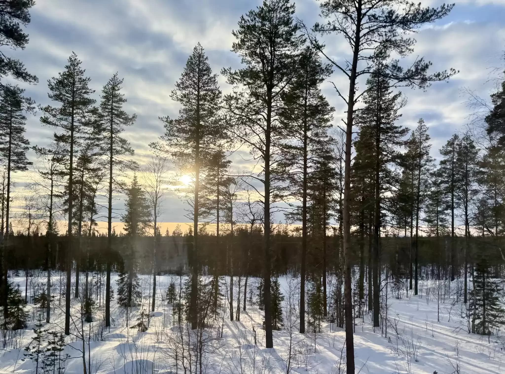 Finnland 444.webp