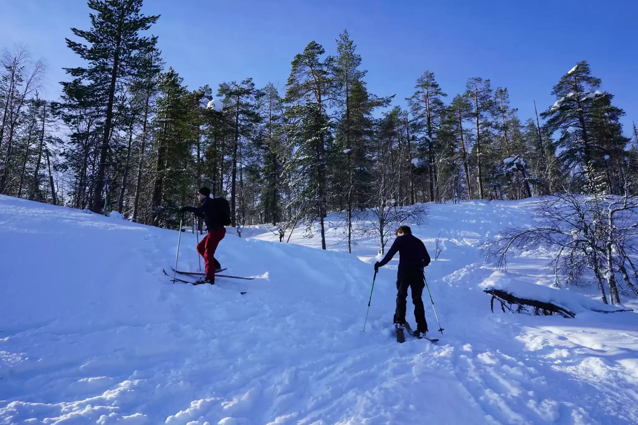 Finnland 555.webp