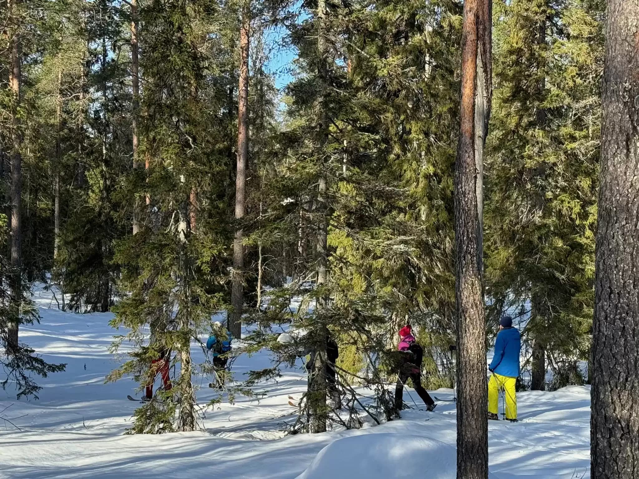 Finnland 5.webp