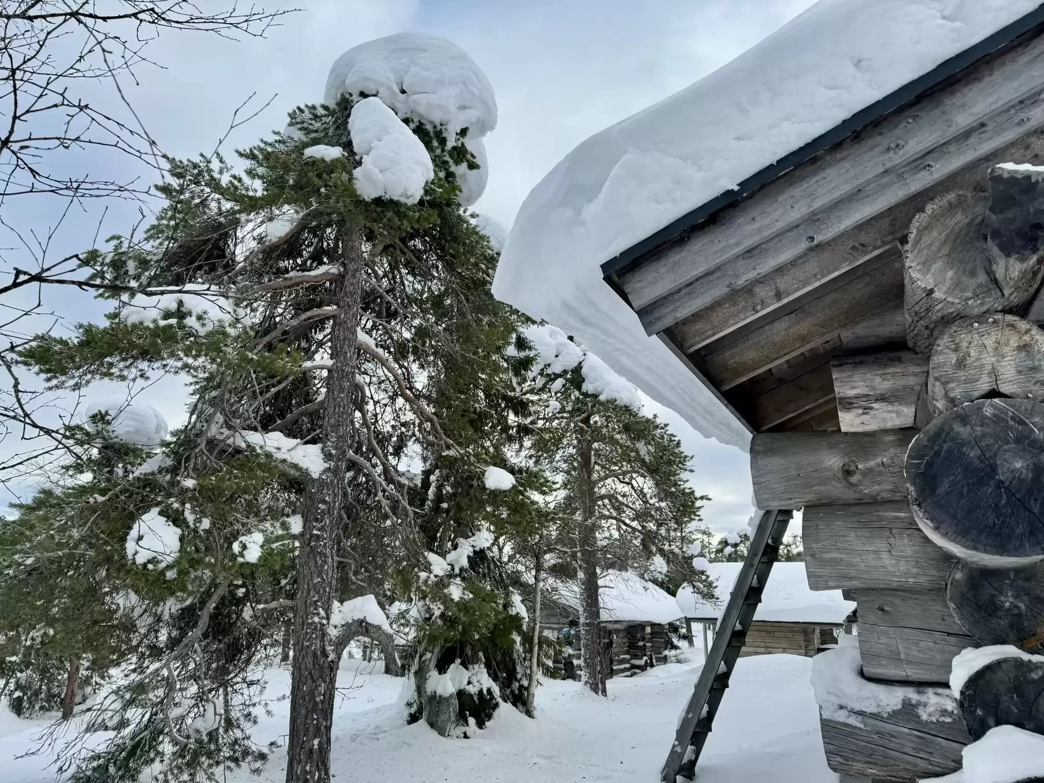 Finnland 6666666.webp