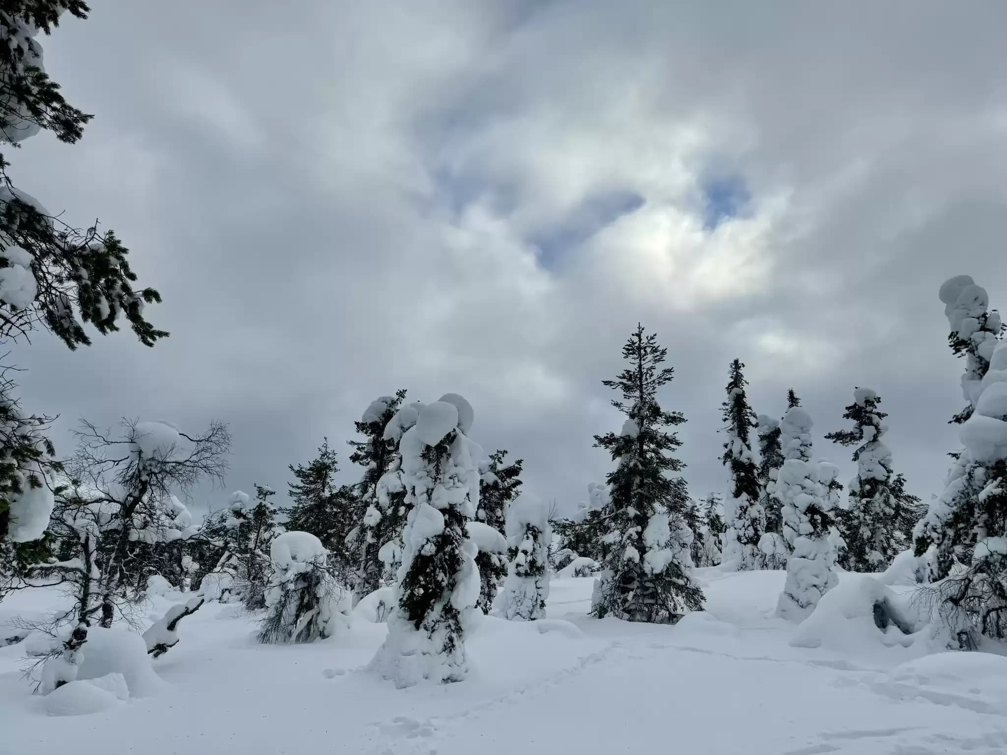Finnland 666666.webp