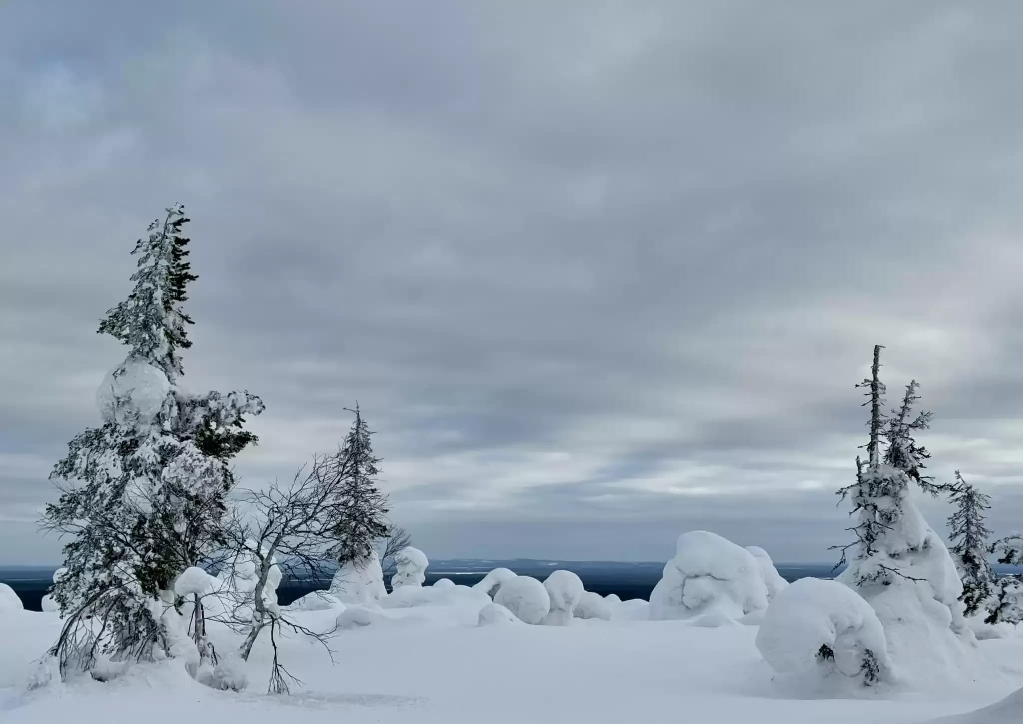 Finnland 66.webp