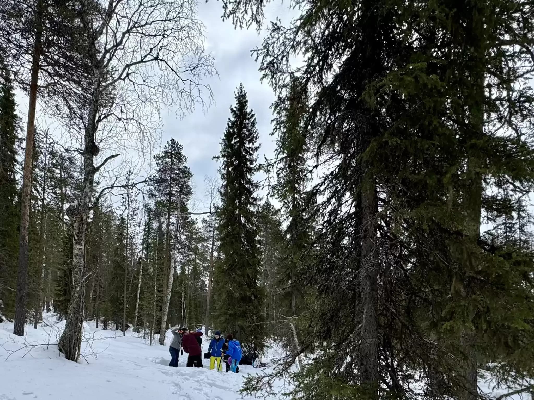 Finnland 77.webp