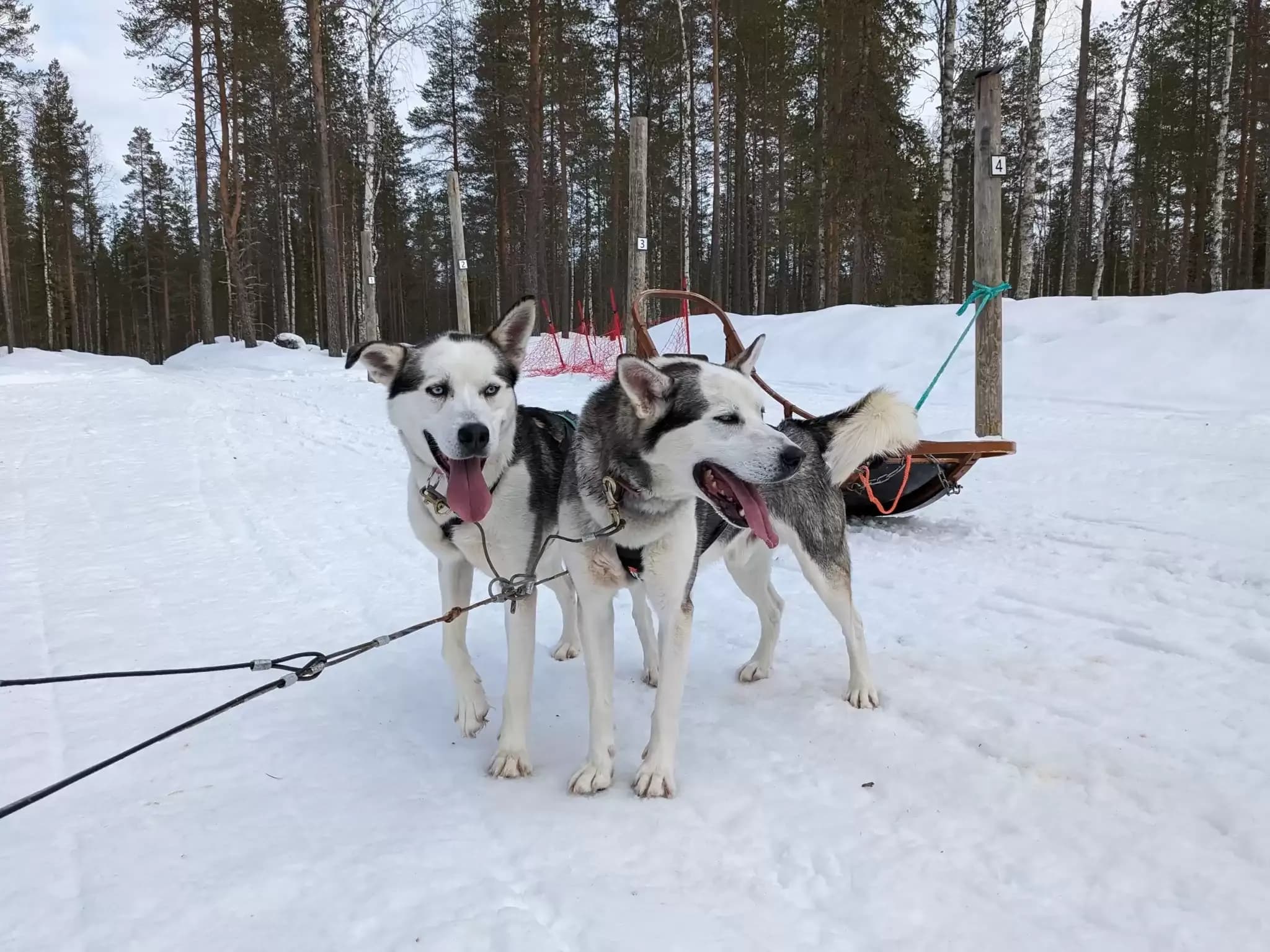 Finnland 88.webp